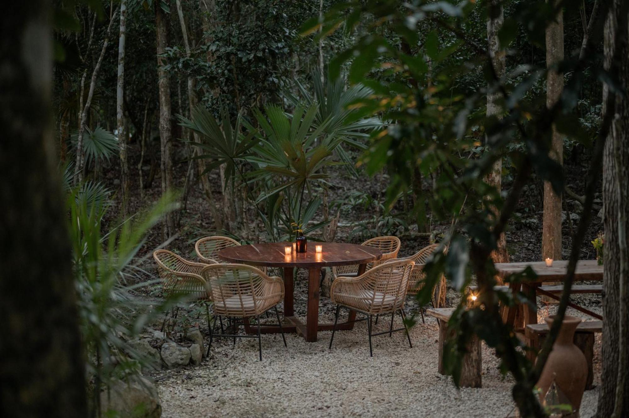 Naum - Secluded Villa With Private Cenote Tulum Exterior photo