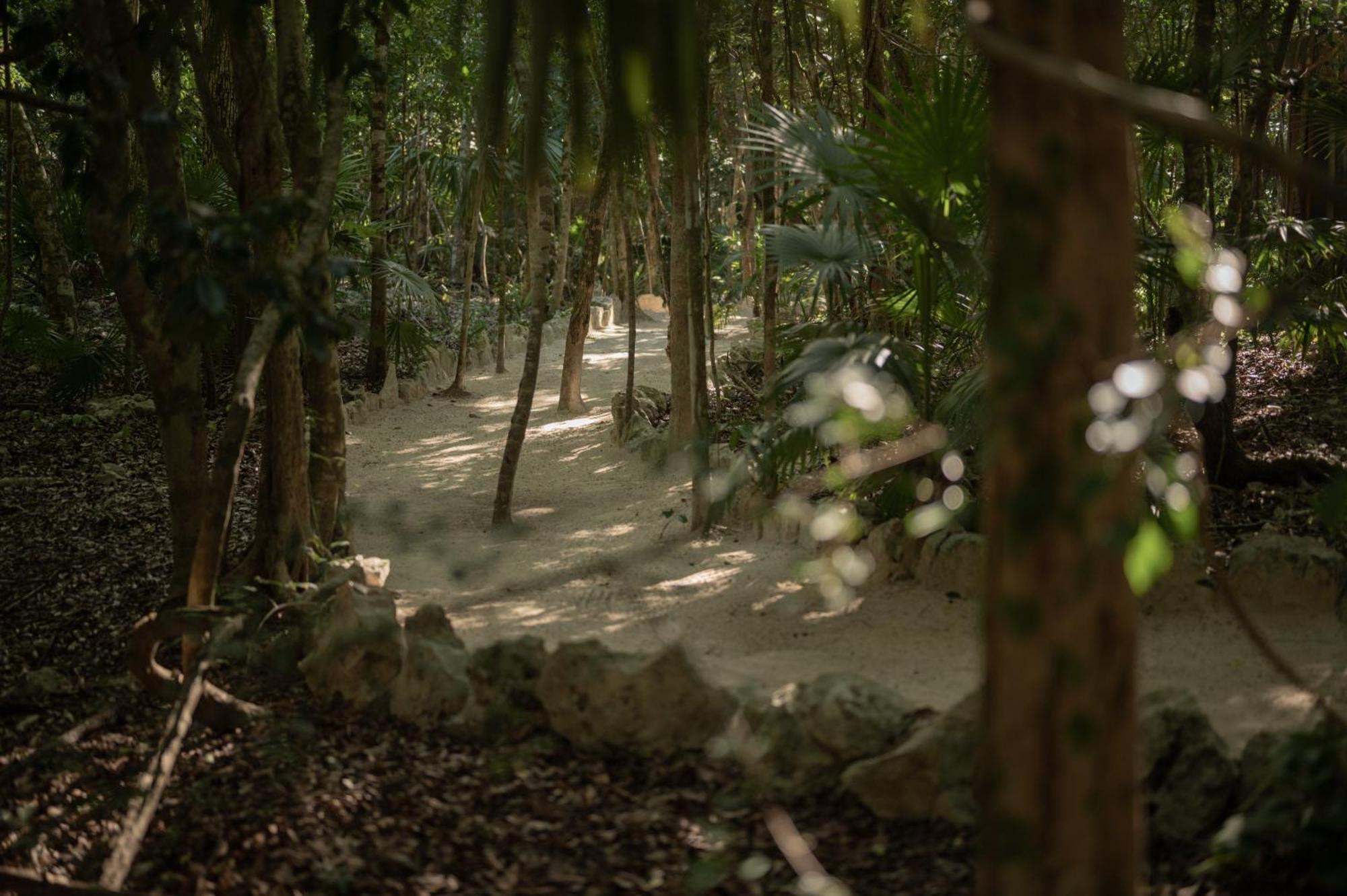 Naum - Secluded Villa With Private Cenote Tulum Exterior photo